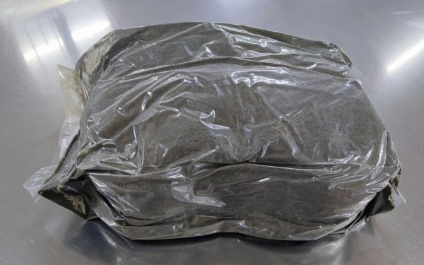 z6902058973966_8ca328a772d17c78c3c5f56b57517cdd